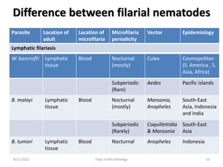 Difference between filarial nematodes
9/21/2021 Dept of Microbiology 10
Parasite Location of
adult
Location of
microfilaria
Microfilaria
periodicity
Vector Epidemiology
Lymphatic filariasis
W. bancrofti Lymphatic
tissue
Blood Nocturnal
(mostly)
Culex Cosmopolitan
(S. America , S.
Asia, Africa)
Subperiodic
(Rare)
Aedes Pacific islands
B. malayi Lymphatic
tissue
Blood Nocturnal
(mostly)
Mansonia,
Anopheles
South-East
Asia, Indonesia
and India
Subperiodic
(Rarely)
Coquillettidia
& Mansonia
South-East
Asia
B. tumori Lymphatic
tissue
Blood Nocturnal Anopheles Indonesia
 