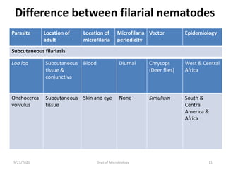 Difference between filarial nematodes
9/21/2021 Dept of Microbiology 11
Parasite Location of
adult
Location of
microfilaria
Microfilaria
periodicity
Vector Epidemiology
Subcutaneous filariasis
Loa loa Subcutaneous
tissue &
conjunctiva
Blood Diurnal Chrysops
(Deer flies)
West & Central
Africa
Onchocerca
volvulus
Subcutaneous
tissue
Skin and eye None Simulium South &
Central
America &
Africa
 