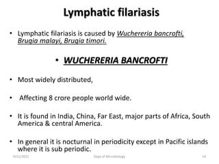 Lymphatic filariasis
• Lymphatic filariasis is caused by Wuchereria bancrofti,
Brugia malayi, Brugia timori.
• WUCHERERIA BANCROFTI
• Most widely distributed,
• Affecting 8 crore people world wide.
• It is found in India, China, Far East, major parts of Africa, South
America & central America.
• In general it is nocturnal in periodicity except in Pacific islands
where it is sub periodic.
9/21/2021 Dept of Microbiology 14
 
