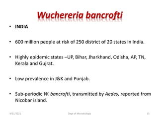 Wuchereria bancrofti
• INDIA
• 600 million people at risk of 250 district of 20 states in India.
• Highly epidemic states –UP, Bihar, Jharkhand, Odisha, AP, TN,
Kerala and Gujrat.
• Low prevalence in J&K and Punjab.
• Sub-periodic W. bancrofti, transmitted by Aedes, reported from
Nicobar island.
9/21/2021 Dept of Microbiology 15
 