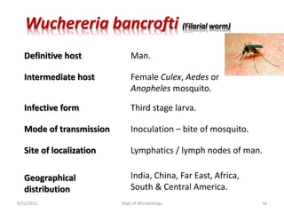 9/21/2021 Dept of Microbiology 16
Wuchereria bancrofti (Filarial worm)
Definitive host Man.
Intermediate host Female Culex, Aedes or
Anopheles mosquito.
Infective form Third stage larva.
Mode of transmission Inoculation – bite of mosquito.
Site of localization Lymphatics / lymph nodes of man.
Geographical
distribution
India, China, Far East, Africa,
South & Central America.
 