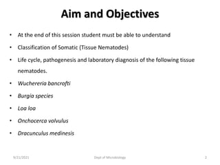 Aim and Objectives
• At the end of this session student must be able to understand
• Classification of Somatic (Tissue Nematodes)
• Life cycle, pathogenesis and laboratory diagnosis of the following tissue
nematodes.
• Wuchereria bancrofti
• Burgia species
• Loa loa
• Onchocerca volvulus
• Dracunculus medinesis
9/21/2021 Dept of Microbiology 2
 
