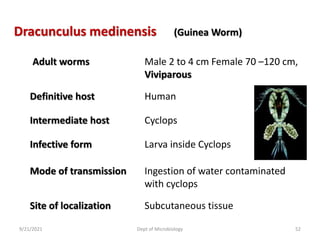 Dracunculus medinensis
Adult worms Male 2 to 4 cm Female 70 –120 cm,
Viviparous
Infective form Larva inside Cyclops
Mode of transmission Ingestion of water contaminated
with cyclops
Site of localization Subcutaneous tissue
(Guinea Worm)
Human
Intermediate host
Definitive host
Cyclops
9/21/2021 Dept of Microbiology 52
 