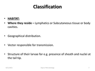 Classification
• HABITAT:
• Where they reside – Lymphatics or Subcutaneous tissue or body
cavities.
• Geographical distribution.
• Vector responsible for transmission.
• Structure of their larvae for e.g. presence of sheath and nuclei at
the tail tip.
9/21/2021 Dept of Microbiology 7
 