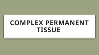 COMPLEX PERMANENT
TISSUE
 