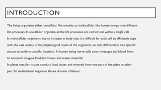 INTRODUCTION
The living organisms either unicellular like amoeba or multicellular like human beings have different
life processes. In unicellular organism all the life processes are carried out within a single cell.
In multicellular organisms due to increase in body size, it is difficult for each cell to efficiently cope
with the vast variety of the physiological needs of the organisms, so cells differentiate into specific
tissues to perform specific functions. In human being nerve cells carry messages and blood flows
to transport oxygen, food, hormones and waste materials.
In plants vascular tissues conduct food, water and minerals from one part of the plant to other
part. So multicellular organism shows division of labour.
 