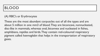 BLOOD
(A) RBC’s or Erythrocytes
These are the most abundant corpuscles out of all the types and are
about 5 million in one mm3 of blood.They are biconcave, nonnucleated,
disc-like in mammals, whereas oval, biconvex and nucleated in fishes,
amphibians, reptiles and birds.They contain red-coloured respiratory
pigment called haemoglobin that helps in the transportation of respiratory
gases.
 
