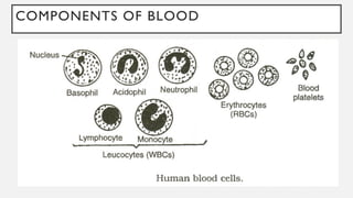 COMPONENTS OF BLOOD
 