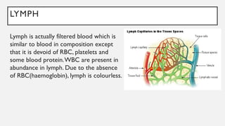 LYMPH
Lymph is actually filtered blood which is
similar to blood in composition except
that it is devoid of RBC, platelets and
some blood protein.WBC are present in
abundance in lymph. Due to the absence
of RBC(haemoglobin), lymph is colourless.
 