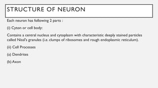 STRUCTURE OF NEURON
Each neuron has following 2 parts :
(i) Cyton or cell body:
Contains a central nucleus and cytoplasm with characteristic deeply stained particles
called Nissl's granules (i.e. clumps of ribosomes and rough endoplasmic reticulum).
(ii) Cell Processes
(a) Dendrites
(b) Axon
 