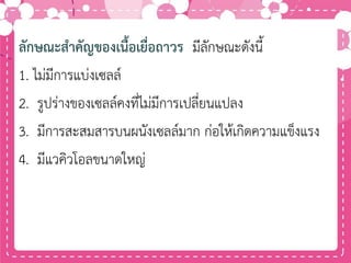 ลักษณะสาคัญของเนื้อเยื่อถาวร มีลักษณะดังนี้
1. ไม่มีการแบ่งเซลล์
2. รูปร่างของเซลล์คงที่ไม่มีการเปลี่ยนแปลง
3. มีการสะสมสารบนผนังเซลล์มาก ก่อให้เกิดความแข็งแรง
4. มีแวคิวโอลขนาดใหญ่
 