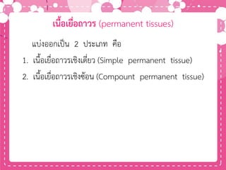 เนื้อเยื่อถาวร (permanent tissues)
แบ่งออกเป็น 2 ประเภท คือ
1. เนื้อเยื่อถาวรเชิงเดี่ยว (Simple permanent tissue)
2. เนื้อเยื่อถาวรเชิงซ้อน (Compount permanent tissue)
 