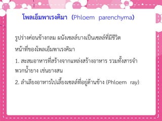 โพลเอ็มพาเรงคิมา (Phloem parenchyma)
รูปร่างค่อนข้างกลม ผนังเซลล์บางเป็นเซลล์ที่มีชีวิต
หน้าที่ของโพลเอ็มพาเรงคิมา
1. สะสมอาหารที่สร้างจากแหล่งสร้างอาหาร รวมทั้งสารจา
พวกน้ายาง เช่นยางสน
2. ลาเลียงอาหารไปเลี้ยงเซลล์ที่อยู่ด้านข้าง (Phloem ray)
 