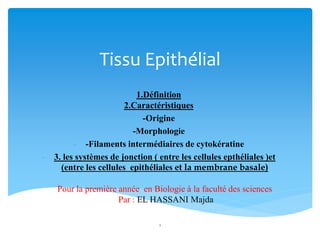 Tissu Epithélial
1.Définition
2.Caractéristiques
-Origine
-Morphologie
- -Filaments intermédiaires de cytokératine
- 3. les systèmes de jonction ( entre les cellules epthéliales )et
(entre les cellules epithéliales et la membrane basale)
Pour la première année en Biologie à la faculté des sciences
Par : EL HASSANI Majda
1
 