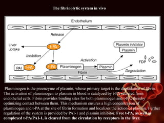 .
Plasminogen is the proenzyme of plasmin, whose primary target is the degradation of fibrin.
The activation of plasminogen to plasmin in blood is catalyzed by t-PA secreted from
endothelial cells. Fibrin provides binding sites for both plasminogen and t-PA, thereby
optimizing contact between them. This mechanism ensures a high concentration of
plasminogen and t-PA at the site of fibrin formation and localizes the action of plasmin. Further
regulation of the system is provided by PAI-1 and plasmin inhibitor. Free t-PA, as well as
complexed t-PA/PAI-1, is cleared from the circulation by receptors in the liver.
The fibrinolytic system in vivo
 