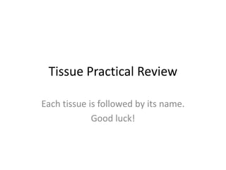 Tissue Practical Review Each tissue is followed by its name. Good luck! 