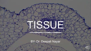 TISSUE
BY- Dr. Deepali Nayar
 