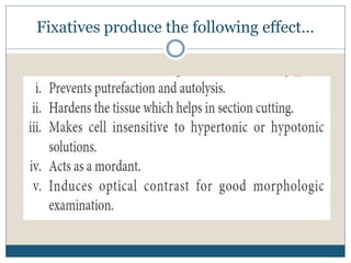 Fixatives produce the following effect…
 