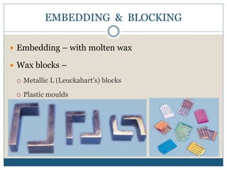 EMBEDDING & BLOCKING
 Embedding – with molten wax
 Wax blocks –
 Metallic L (Leuckahart’s) blocks
 Plastic moulds
 
