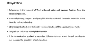 Dehydration
• Dehydration is the removal of ‘free’ unbound water and aqueous fixatives from the
tissue components.
• Many dehydrating reagents are hydrophilic that interact with the water molecules in the
tissue by hydrogen bonding.
• Other reagents affect dehydration by repeated dilution of the aqueous tissue fluids.
• Dehydration should be accomplished slowly.
• If the concentration gradient is excessive, diffusion currents across the cell membranes
may increase the possibility of cell distortion.
 
