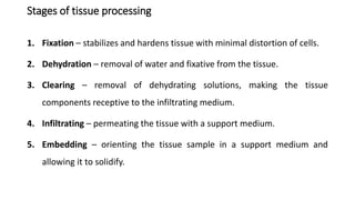 Stages of tissue processing
1. Fixation – stabilizes and hardens tissue with minimal distortion of cells.
2. Dehydration – removal of water and fixative from the tissue.
3. Clearing – removal of dehydrating solutions, making the tissue
components receptive to the infiltrating medium.
4. Infiltrating – permeating the tissue with a support medium.
5. Embedding – orienting the tissue sample in a support medium and
allowing it to solidify.
 