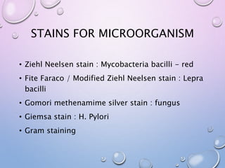 STAINS FOR MICROORGANISM
• Ziehl Neelsen stain : Mycobacteria bacilli - red
• Fite Faraco / Modified Ziehl Neelsen stain : Lepra
bacilli
• Gomori methenamime silver stain : fungus
• Giemsa stain : H. Pylori
• Gram staining
 