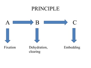 PRINCIPLE
A B C
Fixation Embedding
Dehydration,
clearing
 