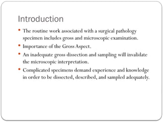 Introduction
 The routine work associated with a surgical pathology
specimen includes gross and microscopic examination.
 Importance of the Gross Aspect.
 An inadequate gross dissection and sampling will invalidate
the microscopic interpretation.
 Complicated specimens demand experience and knowledge
in order to be dissected, described, and sampled adequately.
 