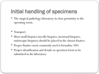 Initial handling of specimens
 The surgical pathology laboratory in close proximity to the
operating room.
 Transport
 Most small biopsies (needle biopsies, incisional biopsies,
endoscopic biopsies) should be placed in the chosen fixative.
 Proper fixative most commonly used is formaline 10%
 Proper identification and details on specimen form to be
submitted in the laboratory
 