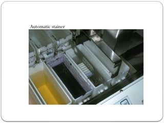 Automatic stainer
 