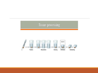 Tissue Packing Process TISSUE PROCESSING,STEPS IN TISSUE PROCESSING.pptx