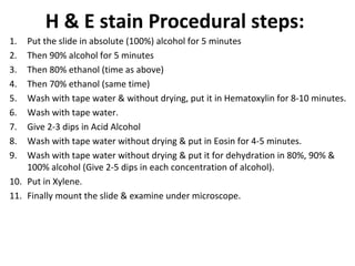 Staining Hand Eprocess Tissue processing by dr manzoor | PPT
