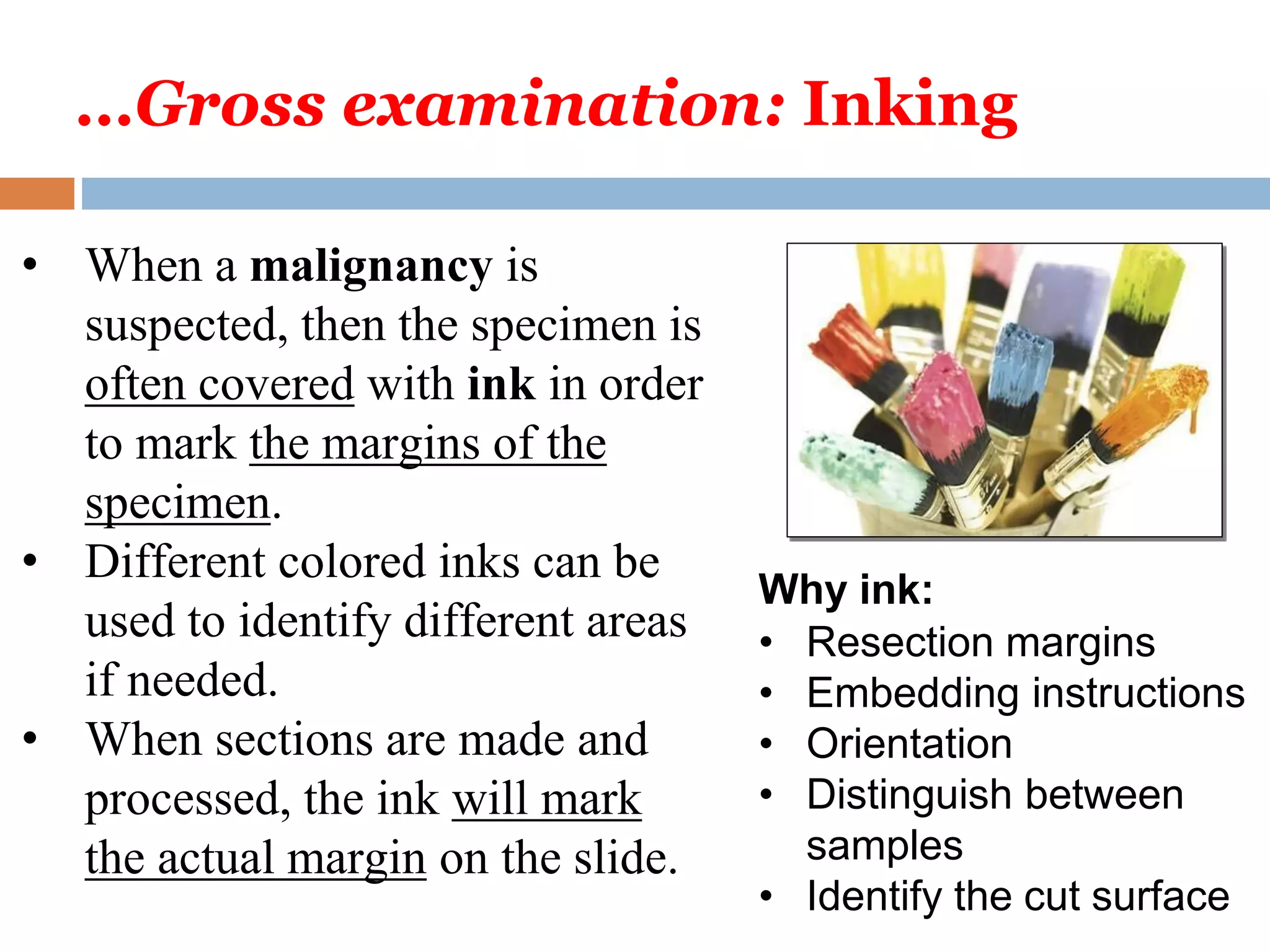 Tissue processing DMLT II 2023.pptx