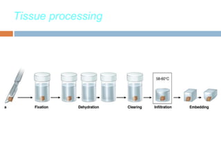 Dm Tissues Tissue processing DMLT II 2023.pptx