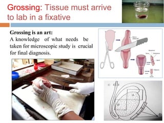 Dm Tissues Tissue processing DMLT II 2023.pptx