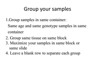 Group your samples
1.Group samples in same container:
Same age and same genotype samples in same
container
2. Group same tissue on same block
3. Maximize your samples in same block or
same slide
4. Leave a blank row to separate each group
 