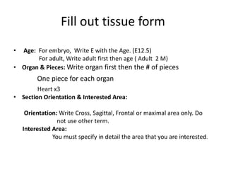 Fill out tissue form
• Age: For embryo, Write E with the Age. (E12.5)
For adult, Write adult first then age ( Adult 2 M)
• Organ & Pieces: Write organ first then the # of pieces
One piece for each organ.
Heart x3
• Section Orientation & Interested Area:
Orientation: Write Cross, Sagittal, Frontal or maximal area only. Do
not use other term.
Interested Area:
You must specify in detail the area that you are interested.
 