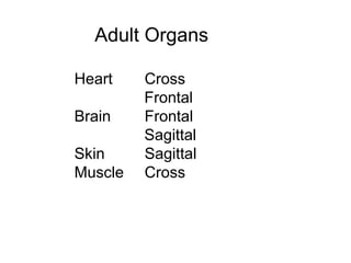 Adult Organs
Heart Cross
Frontal
Brain Frontal
Sagittal
Skin Sagittal
Muscle Cross
 