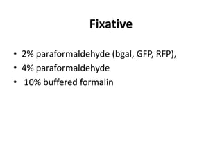• 2% paraformaldehyde (bgal, GFP, RFP),
• 4% paraformaldehyde
• 10% buffered formalin
Fixative
 