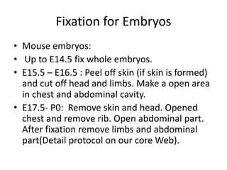 Fixation for Embryos
• Mouse embryos:
• Up to E14.5 fix whole embryos.
• E15.5 – E16.5 : Peel off skin (if skin is formed)
and cut off head and limbs. Make a open area
in chest and abdominal cavity.
• E17.5- P0: Remove skin and head. Opened
chest and remove rib. Open abdominal part.
After fixation remove limbs and abdominal
part(Detail protocol on our core Web).
 