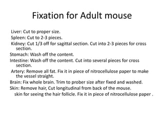 Fixation for Adult mouse
Liver: Cut to proper size.
Spleen: Cut to 2-3 pieces.
Kidney: Cut 1/3 off for sagittal section. Cut into 2-3 pieces for cross
section.
Stomach: Wash off the content.
Intestine: Wash off the content. Cut into several pieces for cross
section.
Artery: Remove all fat. Fix it in piece of nitrocellulose paper to make
the vessel straight.
Brain: Fix whole brain. Trim to prober size after fixed and washed.
Skin: Remove hair, Cut longitudinal from back of the mouse.
skin for seeing the hair follicle. Fix it in piece of nitrocellulose paper .
 