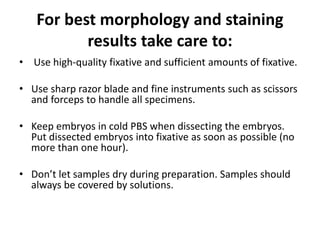 For best morphology and staining
results take care to:
• Use high-quality fixative and sufficient amounts of fixative.
• Use sharp razor blade and fine instruments such as scissors
and forceps to handle all specimens.
• Keep embryos in cold PBS when dissecting the embryos.
Put dissected embryos into fixative as soon as possible (no
more than one hour).
• Don’t let samples dry during preparation. Samples should
always be covered by solutions.
 