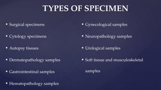 TISSUE PROCESSING IN HISTOPATHOLOGY LABORATORY New.pptx