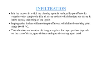 Comprehensive Guide to Tissue Processing, Fixation, and Section Cutting ...