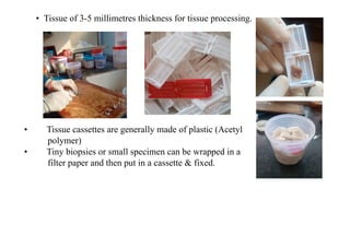 Comprehensive Guide to Tissue Processing, Fixation, and Section Cutting ...