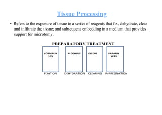 Comprehensive Guide to Tissue Processing, Fixation, and Section Cutting ...