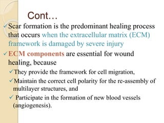 Scar Process Tissue renewal and healing.pptx