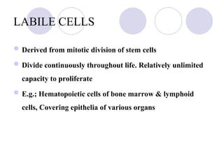 TISSUE RENEWAL AND REPAIR - body’s ability to replace injured.ppt
