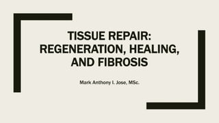 TISSUE REPAIR:
REGENERATION, HEALING,
AND FIBROSIS
Mark Anthony I. Jose, MSc.
 