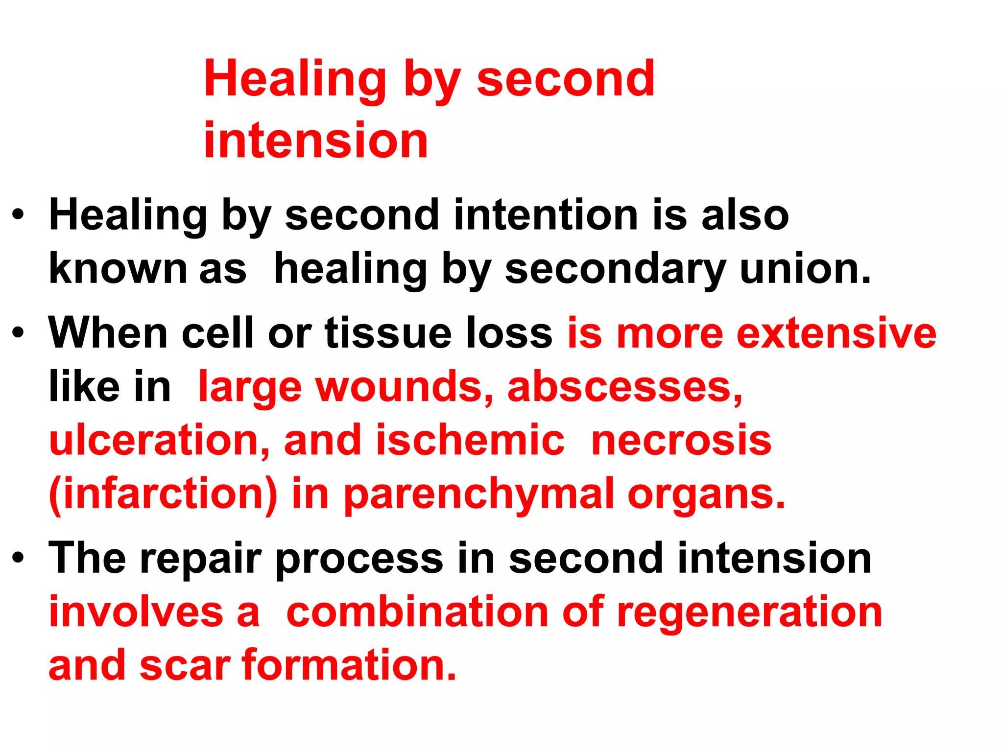 Healing by second
intension
• Healing by second intention is also
known as healing by secondary union.
• When cell or tissue loss is more extensive
like in large wounds, abscesses,
ulceration, and ischemic necrosis
(infarction) in parenchymal organs.
• The repair process in second intension
involves a combination of regeneration
and scar formation.
 